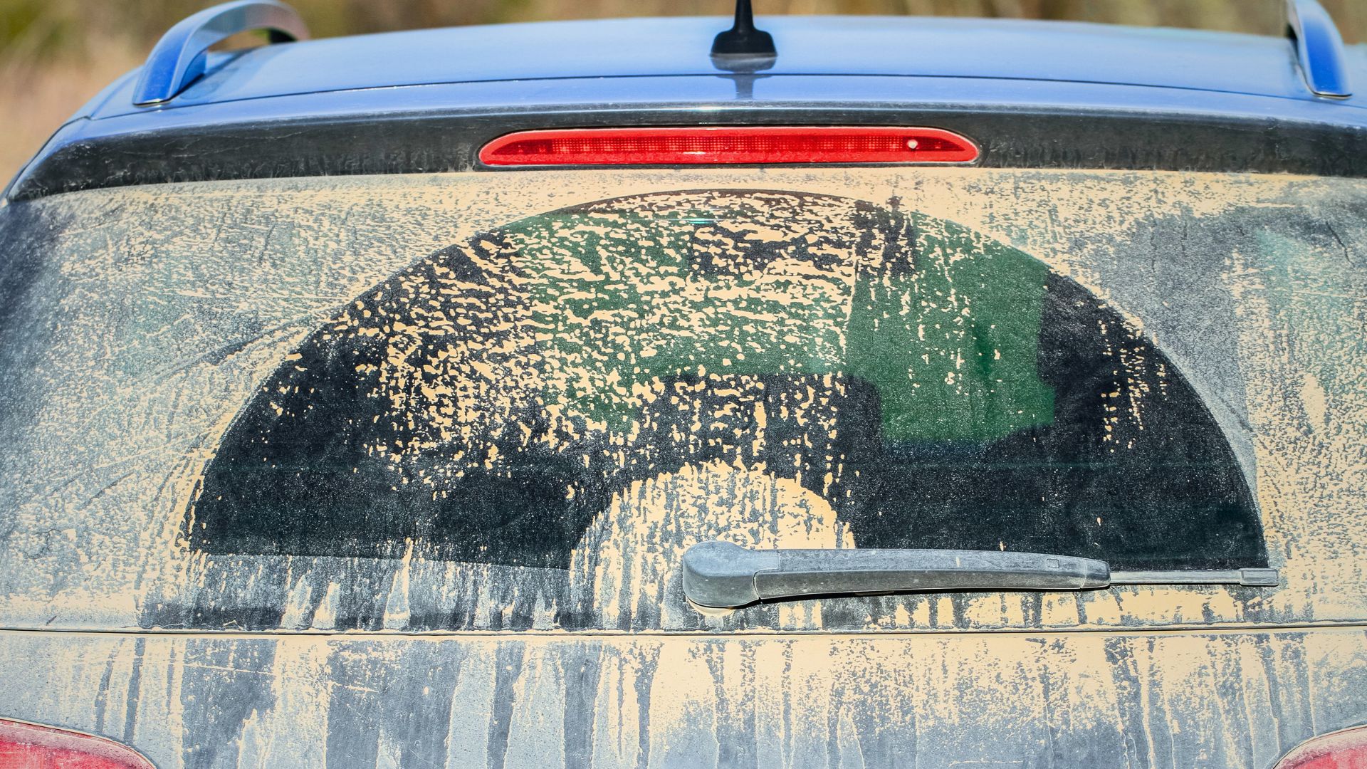 Wild Water Express car wash